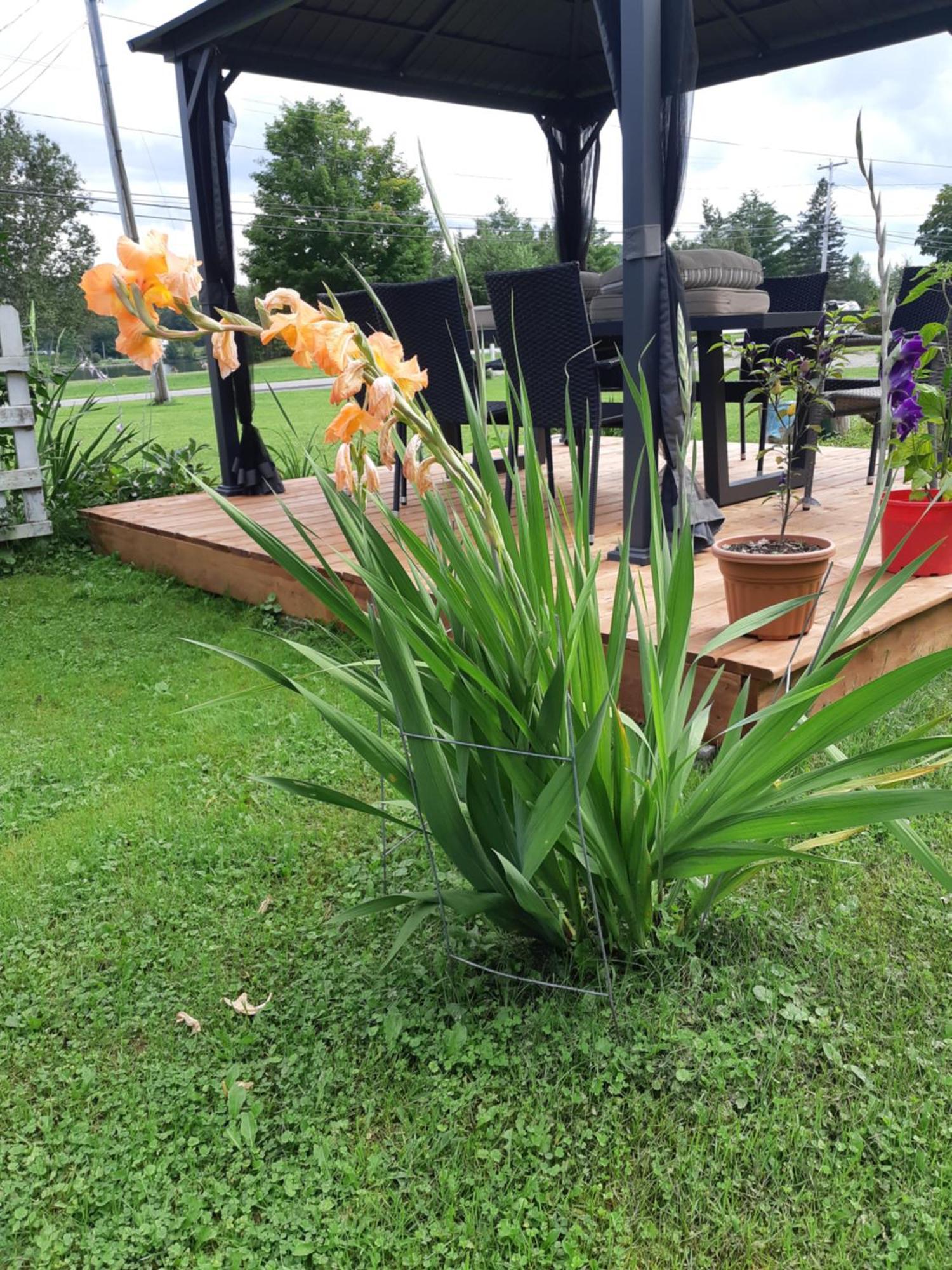 Big Axe Bed & Breakfast Otis Exterior foto